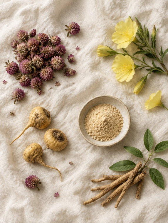 Piante della formula: trifoglio rosso, enotera, maca
