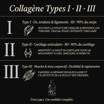 ArtiMotion Collagen 12000 collagène types I II III · formule liquide complète │ Nutremys LAB