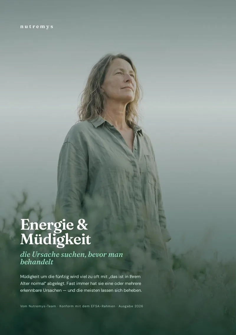 Energie &amp; Müdigkeit