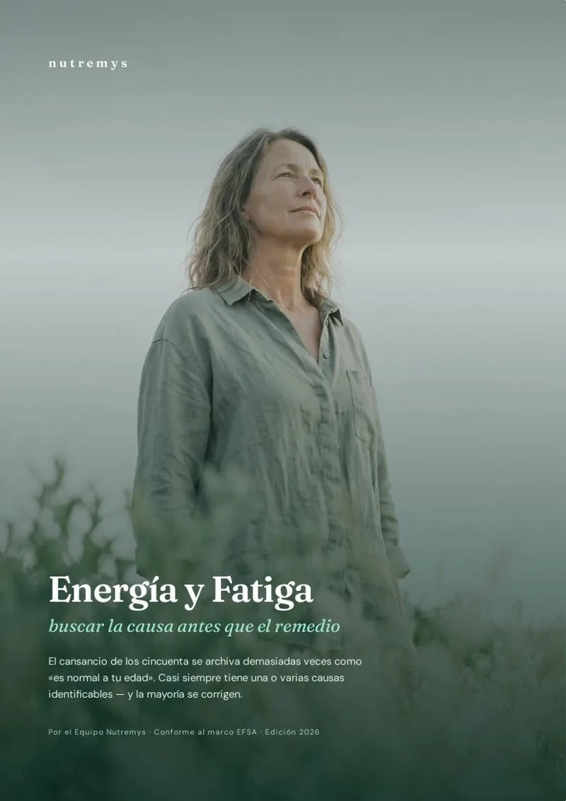 Energía y Fatiga