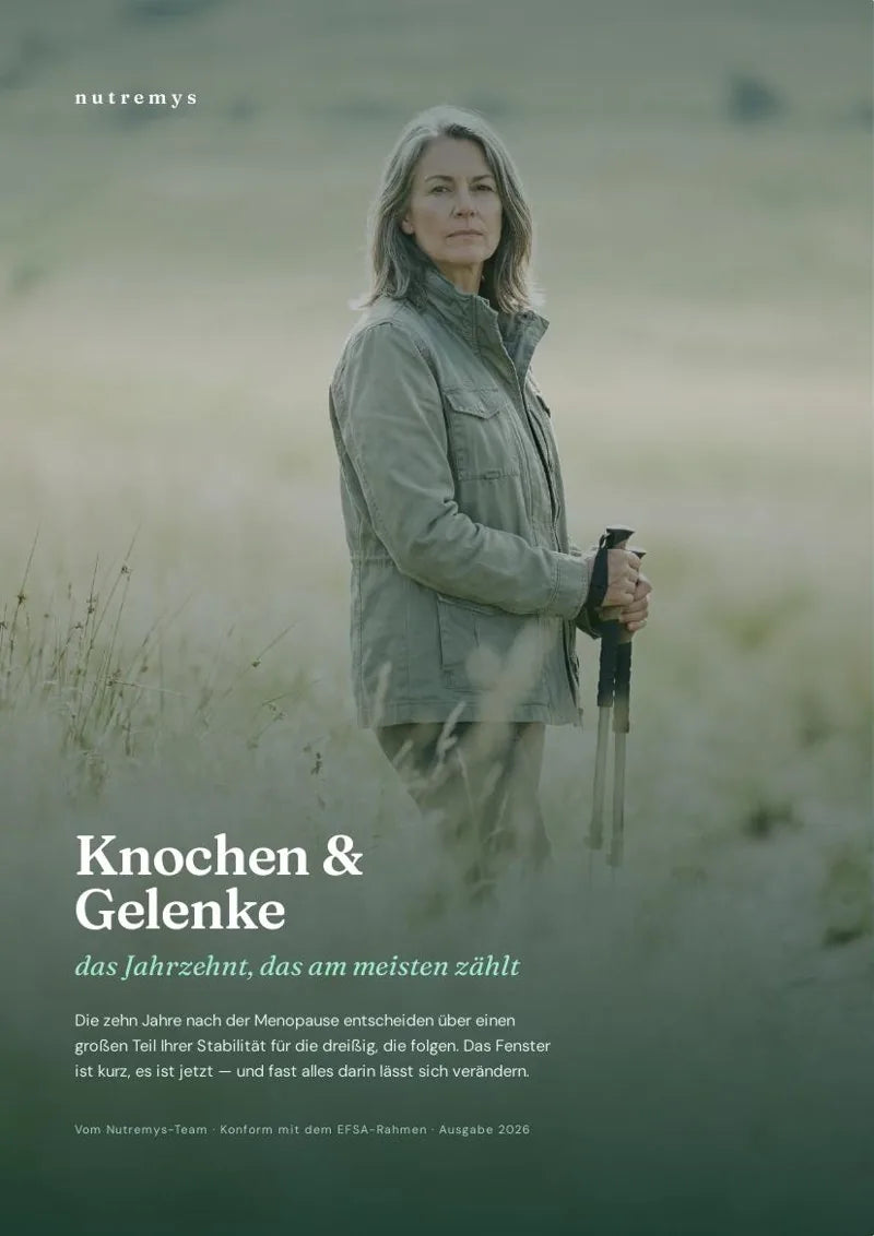 Knochen &amp; Gelenke