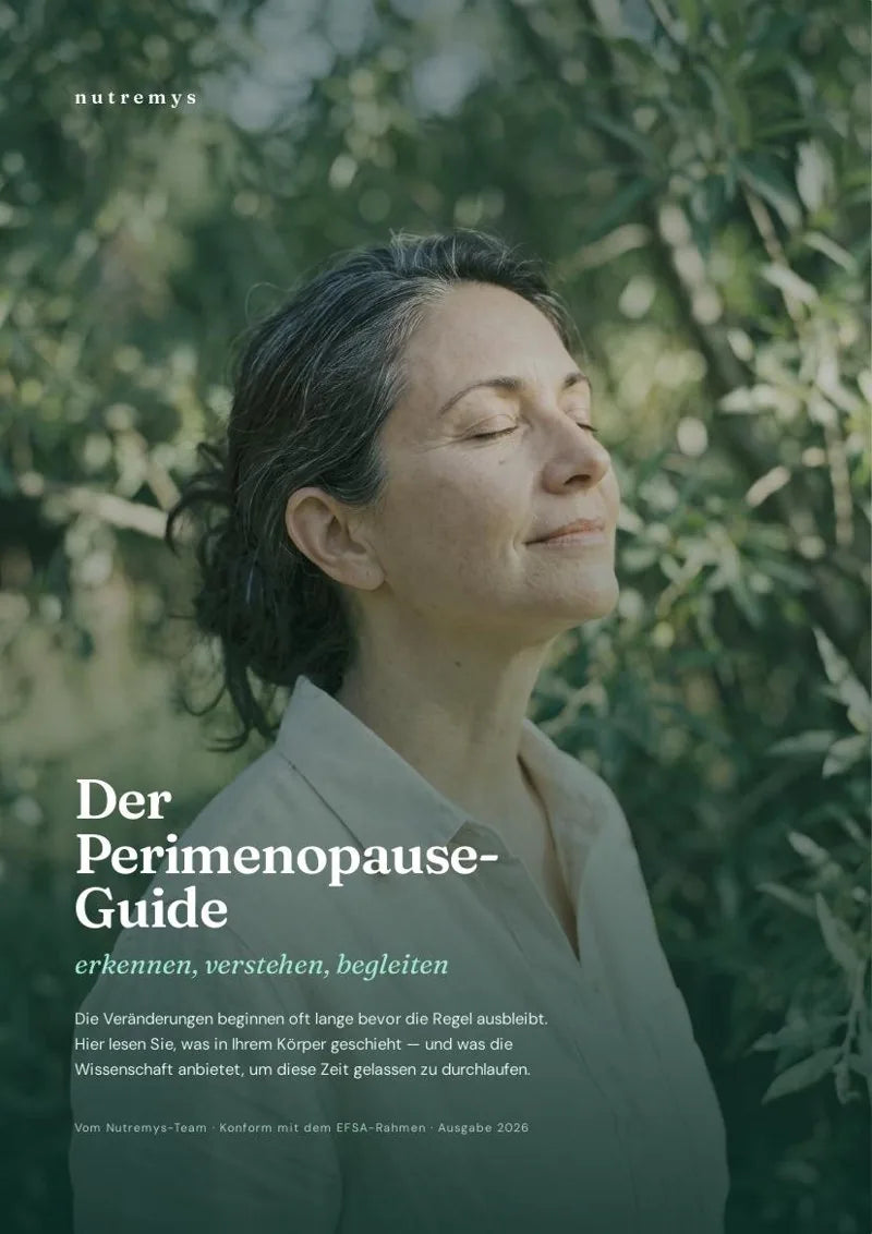 Der Perimenopause-Guide